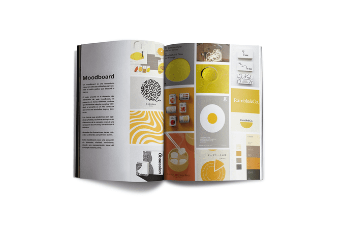 Proyecto Final Sara Elexpe García